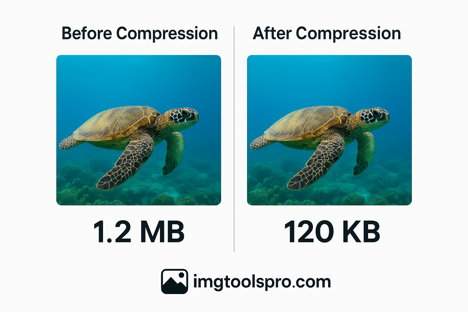 ImageTools Pro interface